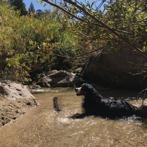 Meet your Posher, Emma